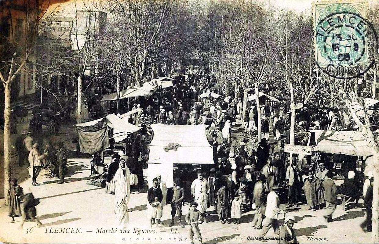 680- Tlemcen - Marche aux legumes.jpg